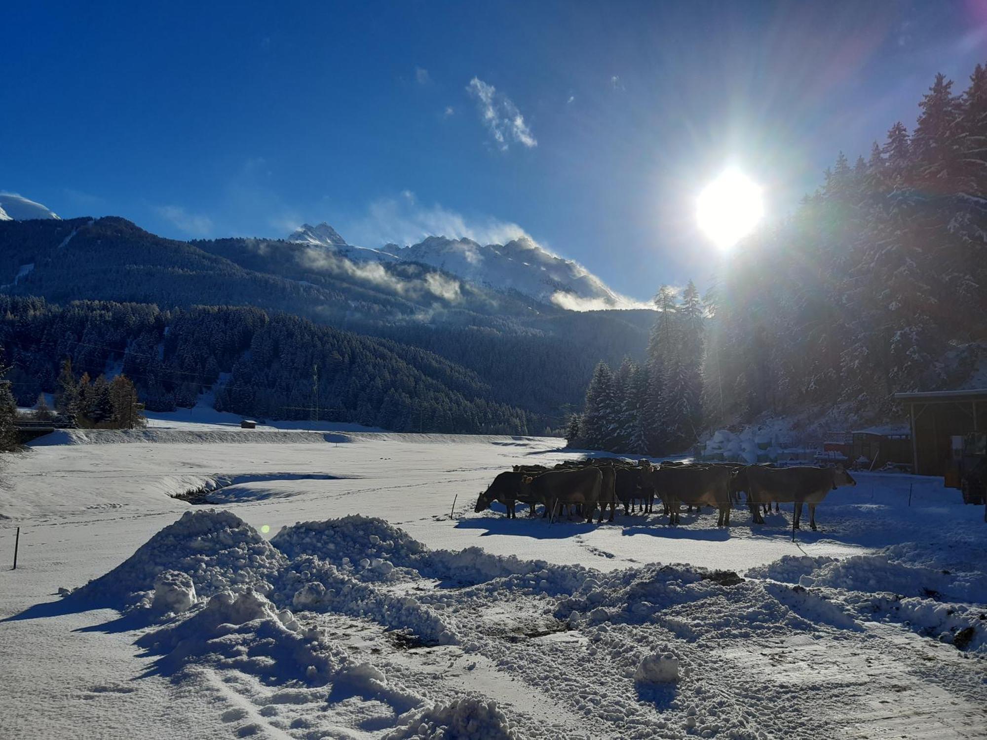 Villa Valrunzhof Direkt Am Seilbahncenter Nauders Esterno foto